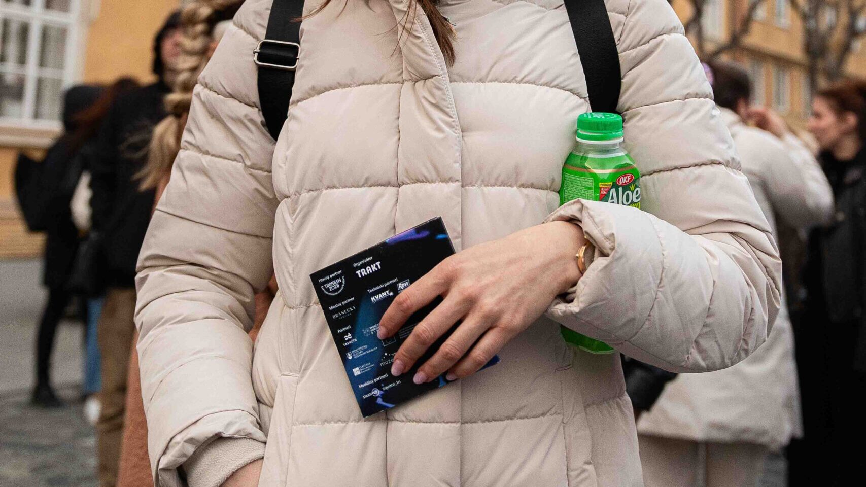 What is the program for Light Art Festival ?